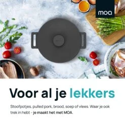 MOA Gietijzeren Braadpan - Inhoud 7,1 Liter - 29CM - Rond - Alle Warmtebronnen - Ook Voor Inductie - Gewicht 7,6 Kg - Zwart - MC29B 13 MOA Gietijzeren Braadpan - Inhoud 7,1 Liter - 29CM - Rond - Alle Warmtebronnen - Ook Voor Inductie - Gewicht 7,6 Kg - Zwart - MC29B -Keukengerei Winkel 1200x1200 706