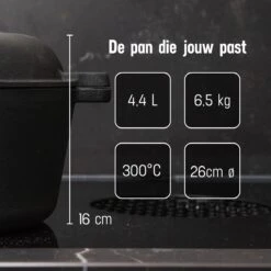 Daumonet Ducasse Gietijzeren Double Use Braadpan - Combi Sudderpan Zwart - 2-in-1 Bak- En Braadpan - PFAS & PFOA Vrij - Rond - Ø 26 Cm - 4,4 Liter - Emaille - Alle Warmtebronnen - Elektrisch - Gas - Halogeen - Inductie - Keramisch -Keukengerei Winkel 1200x1200 731