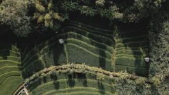 Sola Bestekset Bali - Modern - 9 Persoons - 90 Delig - Zilverwit Edelstaal 18/10 - RVS - Zilver 10 Sola Bestekset Bali - Modern - 9 Persoons - 90 Delig - Zilverwit Edelstaal 18/10 - RVS - Zilver -Keukengerei Winkel 1200x675