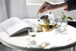 Viva Scandinavia Bjorn Theepot - Glas - Met Filter - 1,2 L - Transparant 19 Viva Scandinavia Bjorn Theepot - Glas - Met Filter - 1,2 L - Transparant -Keukengerei Winkel 1200x807 4